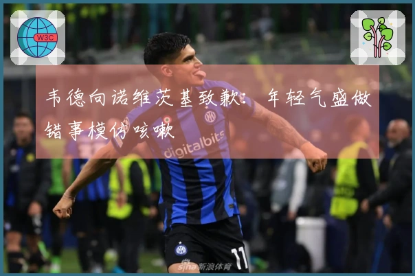 韦德向诺维茨基致歉：年轻气盛做错事模仿咳嗽