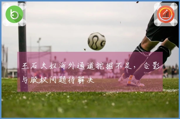 王石夫妇海外通道挖掘不足，合影与股权问题待解决