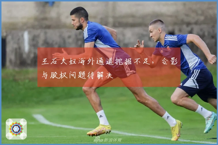 王石夫妇海外通道挖掘不足，合影与股权问题待解决